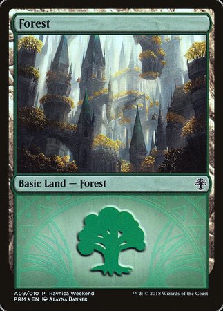 Forest - Selesnya (A09) [GRN Ravnica Weekend] | Enigma On Main