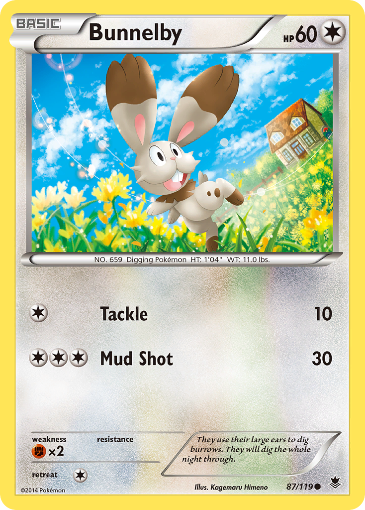 Bunnelby (87/119) [XY: Phantom Forces] | Enigma On Main