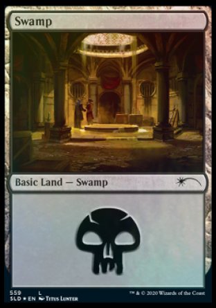 Swamp (Rogues) (559) [Secret Lair Drop Promos] | Enigma On Main