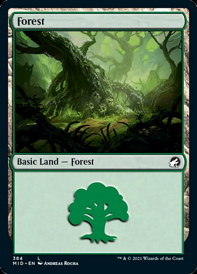 Forest (384) [Innistrad: Midnight Hunt] | Enigma On Main