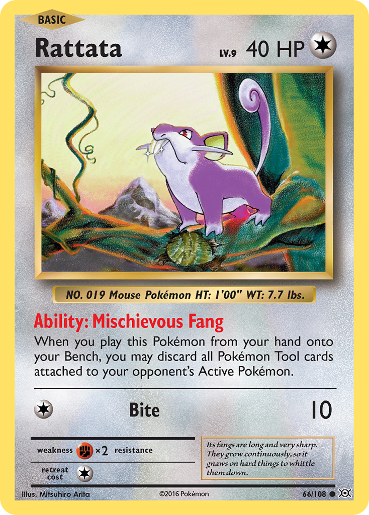 Rattata (66/108) [XY: Evolutions] | Enigma On Main