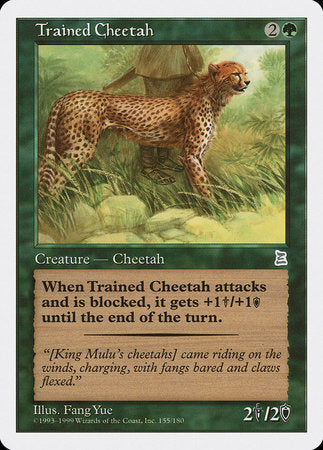 Trained Cheetah [Portal Three Kingdoms] | Enigma On Main