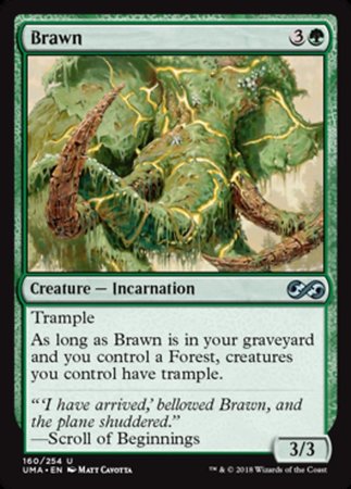 Brawn [Ultimate Masters] | Enigma On Main