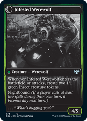 Infestation Expert // Infested Werewolf [Innistrad: Double Feature] | Enigma On Main