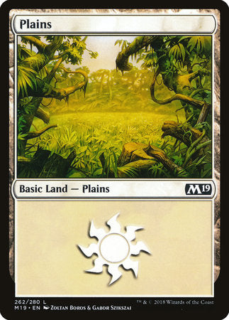 Plains (262) [Core Set 2019] | Enigma On Main