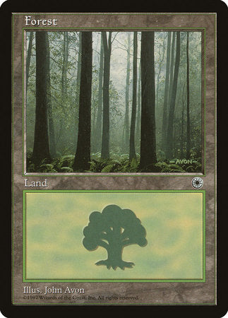 Forest (Ferns on Ground) [Portal] | Enigma On Main