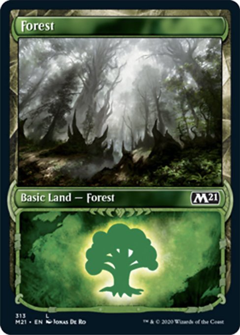 Forest (Showcase) [Core Set 2021] | Enigma On Main