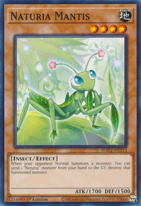 Naturia Mantis [HAC1-EN113] Common | Enigma On Main