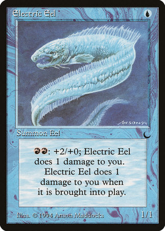 Electric Eel [The Dark] | Enigma On Main