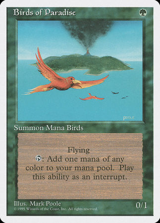 Birds of Paradise [Fourth Edition] | Enigma On Main