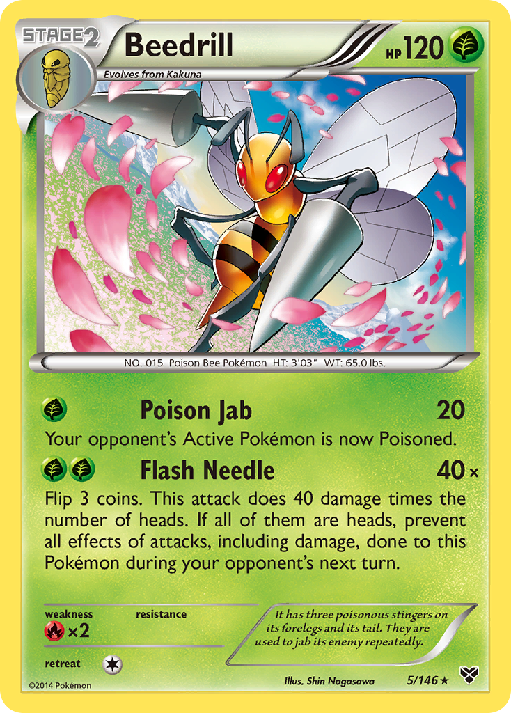 Beedrill (5/146) [XY: Base Set] | Enigma On Main