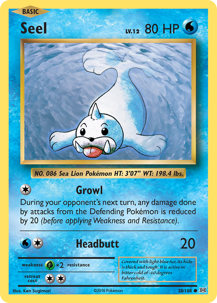 Seel (28/108) [XY: Evolutions] | Enigma On Main