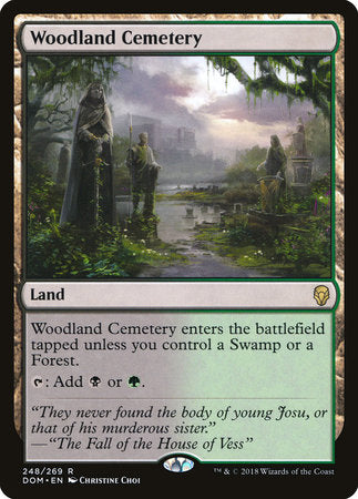 Woodland Cemetery [Dominaria] | Enigma On Main