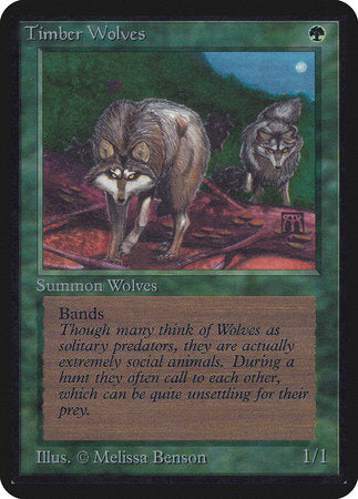 Timber Wolves [Limited Edition Alpha] | Enigma On Main