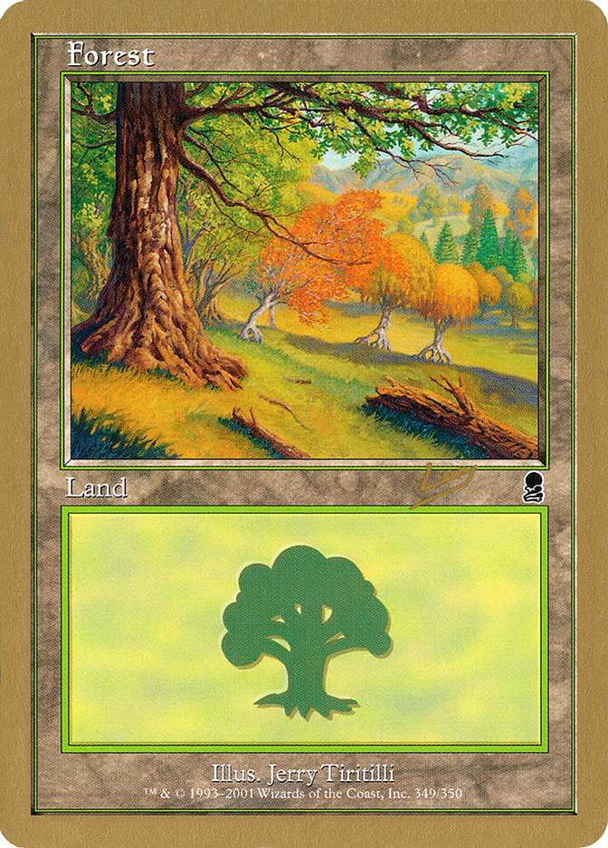 Forest (349) (Raphael Levy) [World Championship Decks 2002] | Enigma On Main