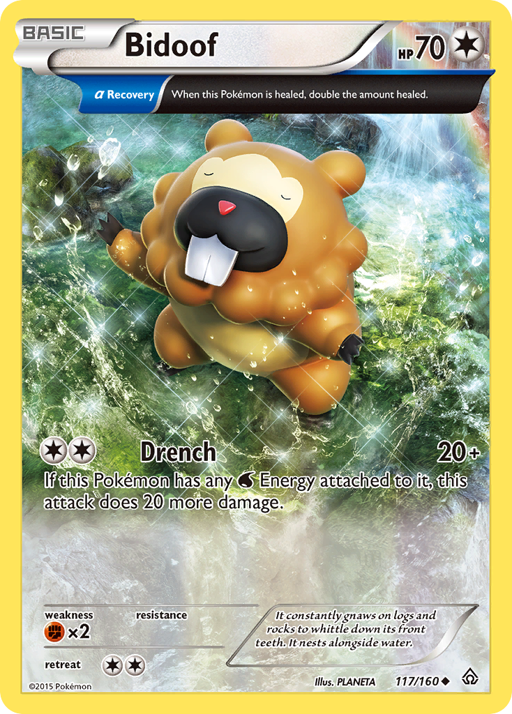 Bidoof (117/160) [XY: Primal Clash] | Enigma On Main