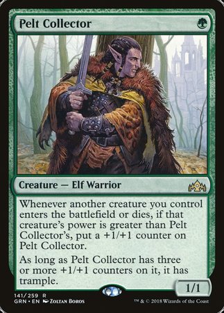 Pelt Collector [Guilds of Ravnica] | Enigma On Main