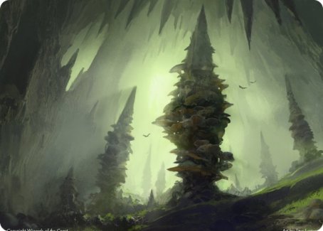 Forest (280) Art Card [Dungeons & Dragons: Adventures in the Forgotten Realms Art Series] | Enigma On Main