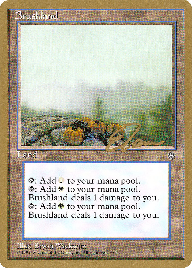 Brushland (Eric Tam) [Pro Tour Collector Set] | Enigma On Main