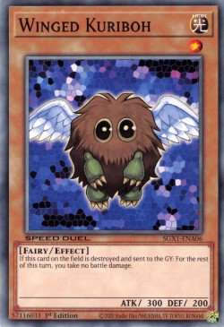 Winged Kuriboh [SGX1-ENA06] Common | Enigma On Main