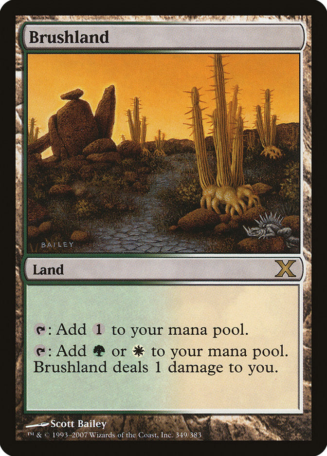 Brushland [Tenth Edition] | Enigma On Main