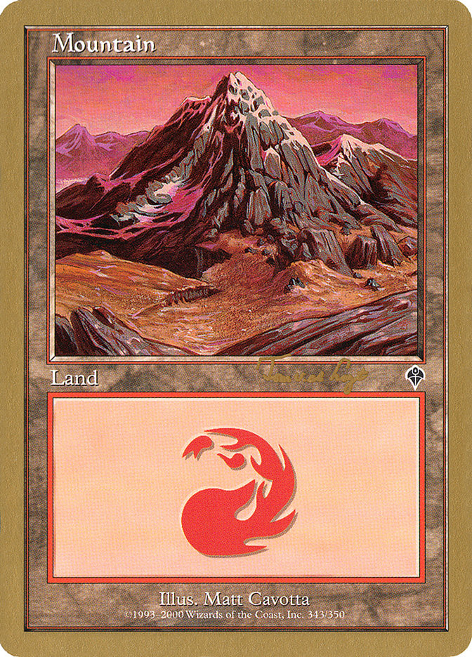 Mountain (tvdl343) (Tom van de Logt) [World Championship Decks 2001] | Enigma On Main