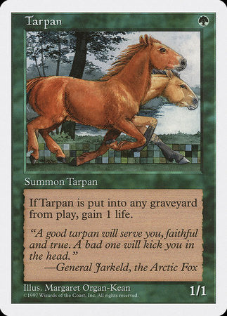 Tarpan [Fifth Edition] | Enigma On Main