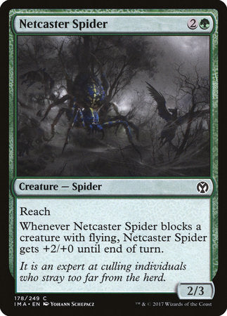 Netcaster Spider [Iconic Masters] | Enigma On Main