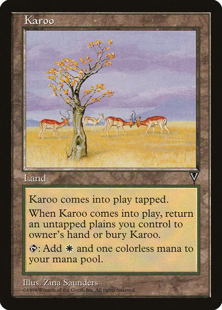 Karoo [Visions] | Enigma On Main