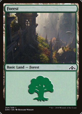 Forest [Guilds of Ravnica] | Enigma On Main