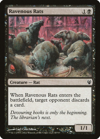 Ravenous Rats [Duel Decks: Izzet vs. Golgari] | Enigma On Main