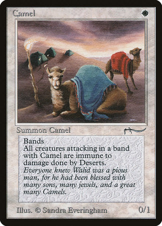 Camel [Arabian Nights] | Enigma On Main