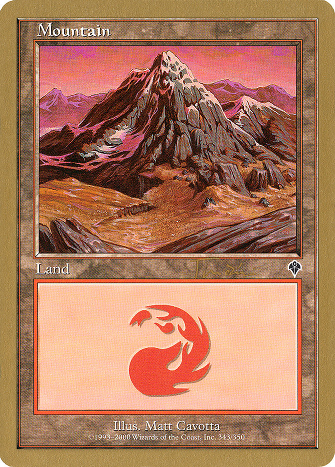 Mountain (jt343a) (Jan Tomcani) (INV) [World Championship Decks 2001] | Enigma On Main