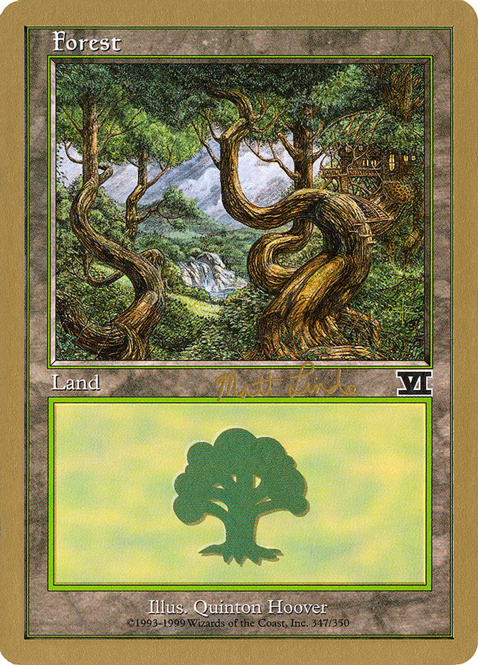 Forest (ml347b) (Matt Linde) [World Championship Decks 1999] | Enigma On Main