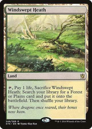 Windswept Heath [Khans of Tarkir] | Enigma On Main