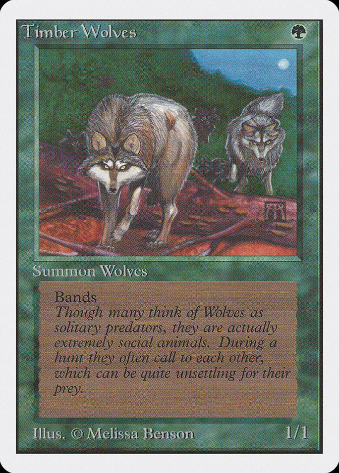 Timber Wolves [Unlimited Edition] | Enigma On Main