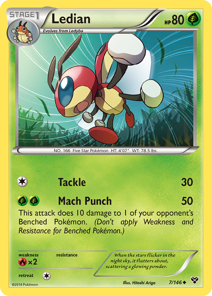 Ledian (7/146) [XY: Base Set] | Enigma On Main