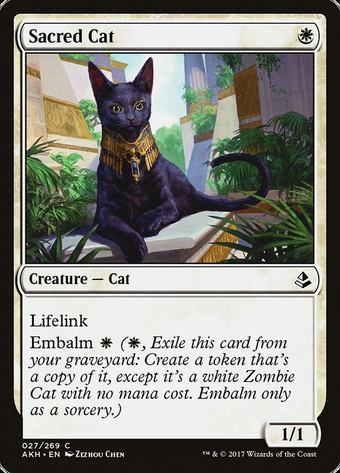 Sacred Cat [Amonkhet] | Enigma On Main