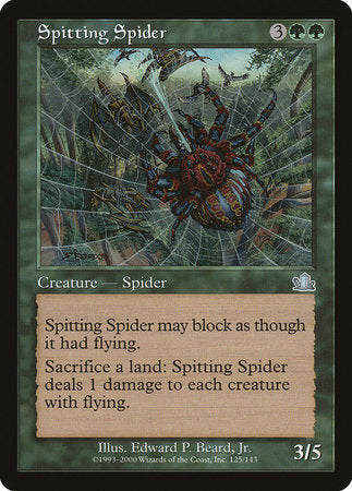 Spitting Spider [Prophecy] | Enigma On Main