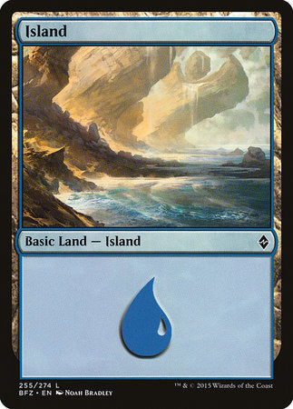 Island (255) [Battle for Zendikar] | Enigma On Main