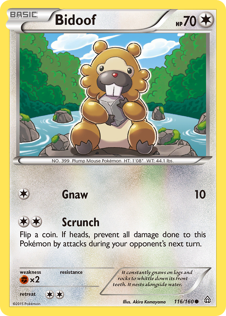 Bidoof (116/160) [XY: Primal Clash] | Enigma On Main