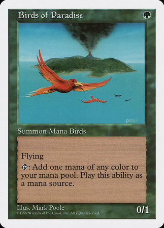 Birds of Paradise [Fifth Edition] | Enigma On Main