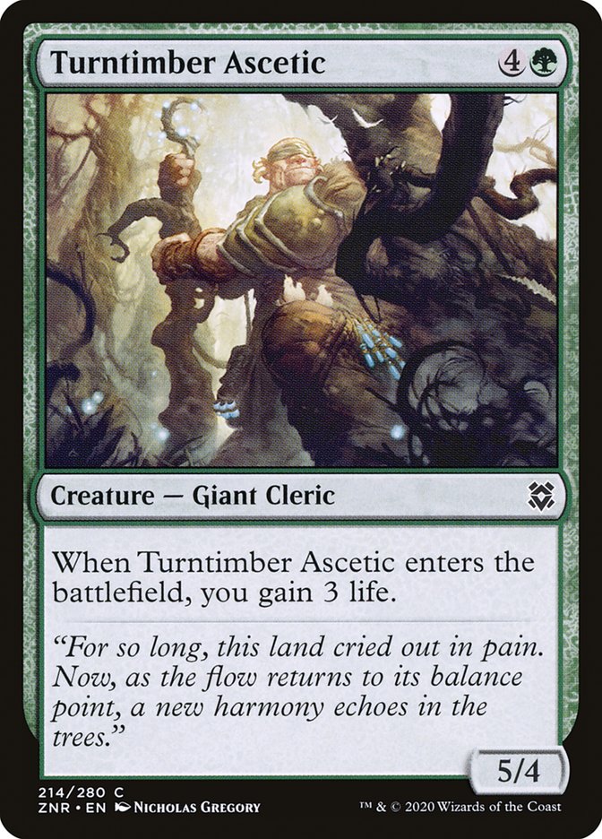 Turntimber Ascetic [Zendikar Rising] | Enigma On Main