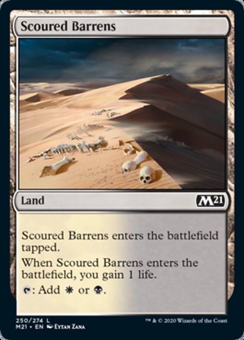 Scoured Barrens [Core Set 2021] | Enigma On Main